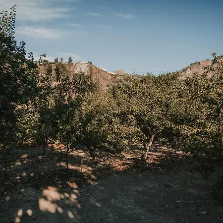 Vivelorural Tunte 4 Great Pool & Bbq *